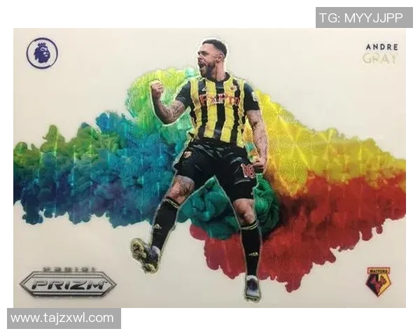 帕尼尼五元包足球卡热潮揭开全新收藏时代热血风暴