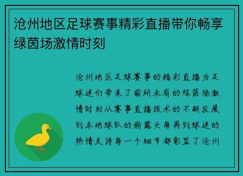 沧州地区足球赛事精彩直播带你畅享绿茵场激情时刻